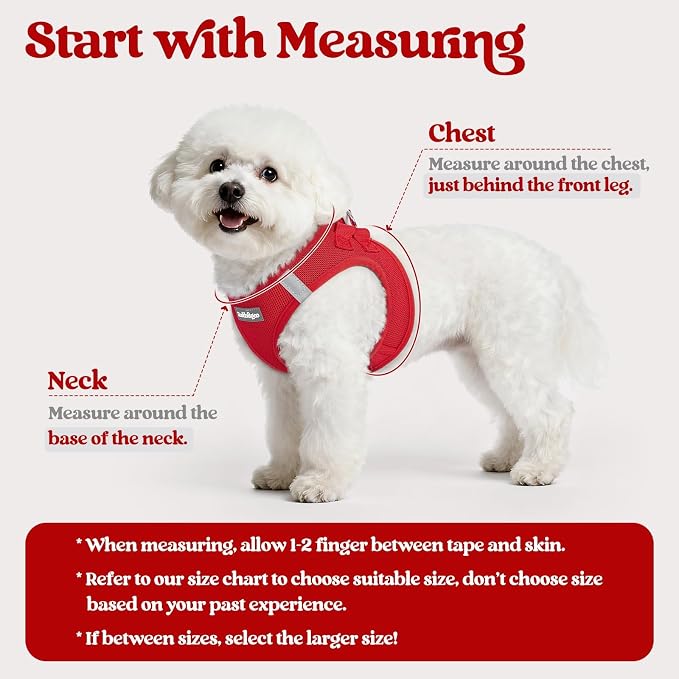 rabbitgoo Dog Harness Medium Sized and Leash Set, Step-in Puppy Pet Vest | Light, Soft, Breathable Air Mesh, Easy on and Remove with Hook & Loop, Secure Reflective for Walking, Red L