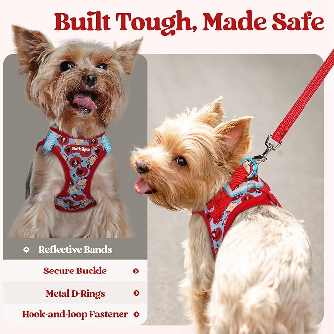 rabbitgoo Dog Harness Small Sized and Leash Set, Step-in Puppy Pet Vest | Light, Soft, Breathable Air Mesh, Easy on and Remove with Hook & Loop, Secure Reflective for Walking, Apple Pups XS