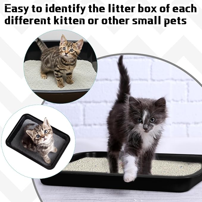 Tessco for you 3 Pcs Kitten Litter Box Shallow Low Entry Open Cat Litter Box Waterproof Plastic Small Rabbit Pan Tray Travel Toilet for Senior Cat Kitten Training(Black,15.1 x 12 x 1.4 Inch)