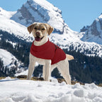 Queenmore XXS Dog Sweater, Soft Fleece Vest Pullover Dog Jacket with Leash Hole, Warm Winter Dogs Clothes Cold Weather Doggy Dachshund Sweaters for Small Dogs Cats Boy or Girl (Burgundy, XXS)