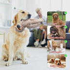 BUYPOW Koala No Stuffing Dog Toys for Large Dogs, Squeaky Crinkle Interactive Dog Animals Toys, Plush Teething Toys to Keep Them Busy, Cute Funny Dogs Gifts for Small Medium Large Breed