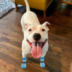 EXPAWLORER 6Pcs Anti Slip Dog Socks to Prevent Licking Paws, Dog Shoes for Hot Pavement, Double Sides Dog Boots & Paw Protectors Booties for Hardwood Floors with Grippers Small Medium Large Senior Dog