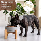 6" Elevated Ceramic Dog Bowl, Anti-Vomiting 23oz for Small Dogs | Premium Food-safe Ceramic with Anti-slip Wood Stand,Dishwasher Safe,Ergonomic Height Relieves Neck Strain,Grey