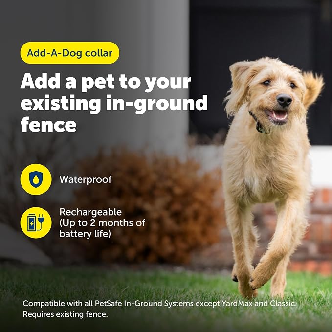 PetSafe Rechargeable In-Ground Fence Collar | Collar Only, Replacement, Extra, Add-A-Dog, Waterproof, Tone and Static, Dogs & Cats 5 lb+, Fits 6-26in Necks