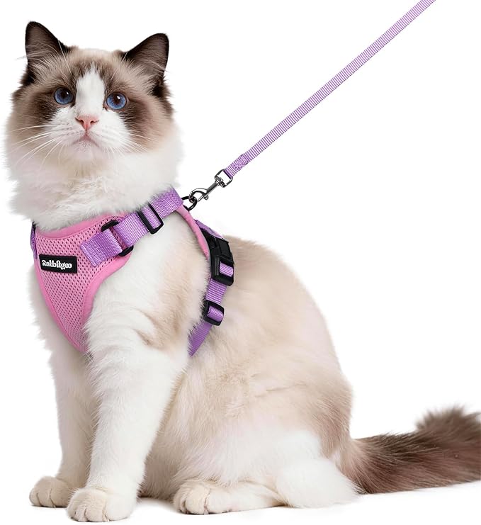 rabbitgoo Cat Harness and Leash Set, Escape Proof Vest, Pink & Light Purple | Soft Breathable Mesh, Easy Adjustable Fit, Snap Buckles, Sturdy Clip, Reflective Strips, for Medium to Large Cats Walks, M