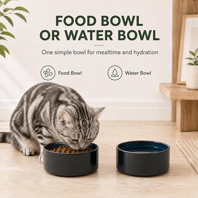 Havniva Cat Bowls Set of Two, 5.1” Ceramic Cat Food and Water Bowls | Cat Food Bowls Whisker Friendly, Non-Slip Base, Food-Grade Ceramic, Wide Opening, Dishwasher Safe, Cat Bowls for Indoor Cats