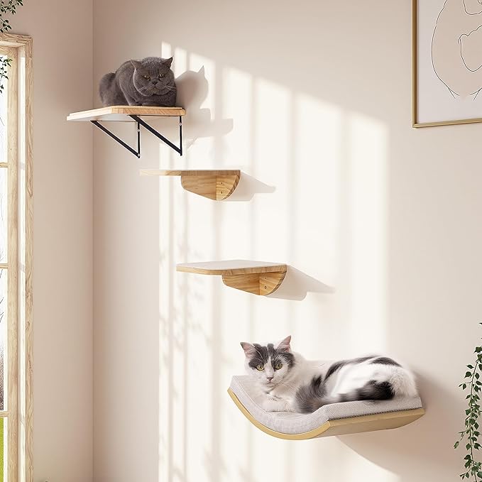 Cat Wall Shelves, Cat Window Perches with Curved Bed & 2 Sisal Mat Steps | Cat Window Perches with Beige Curved Bed & 2 Floating Steps for All Breeds, 3-in-1 Cat Wall Set for Climbing & Lounging