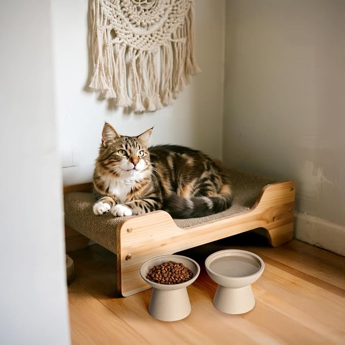CEEFU 2-Pack Extra Wide Elevated Ceramic 6.2" Shallow Cat Food Bowls | Cat Dish for Whisker Fatigue Relief, 5" Height for Easy Feeding, Durable Raised, Pottery Clay (Not Glazed)