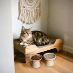 CEEFU 2-Pack Extra Wide Elevated Ceramic 6.2" Shallow Cat Food Bowls | Cat Dish for Whisker Fatigue Relief, 5" Height for Easy Feeding, Durable Raised, Pottery Clay (Not Glazed)