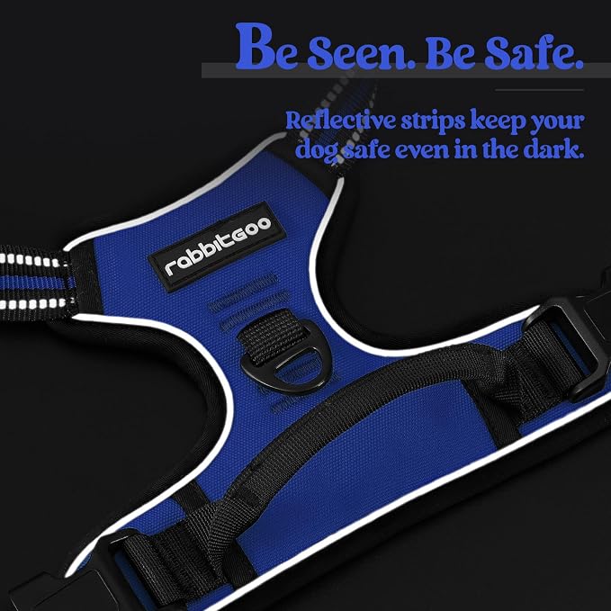 rabbitgoo Dog Harness, No Pull for Small Dogs with 2 Leash Clips, Pet Vest | No Choke with Handle, Adjustable Soft Padded, Reflective, Easy Control for Walking, Dazzling Blue, Small