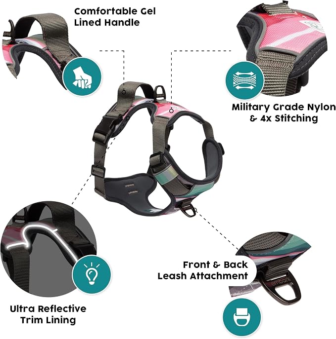 Embark Adventure XL Dog Harness – No-Pull, Reflective Trim, Military-Grade Nylon, 2 Leash Clips with Gel-Lined Handle, Soft & Padded
