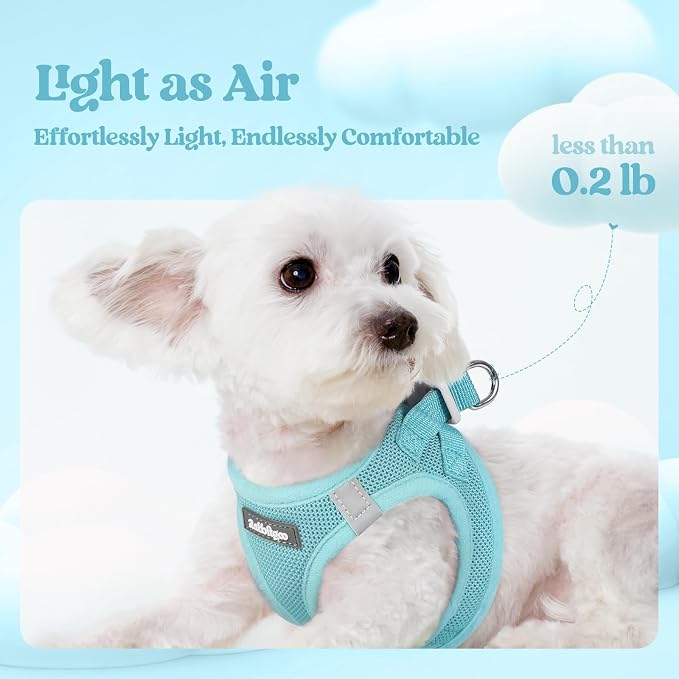 rabbitgoo Dog Harness Small Sized and Leash Set, Step-in Puppy Pet Vest | Light, Soft, Breathable Air Mesh, Easy on and Remove with Hook & Loop, Secure Reflective for Walking, Mint Blue S