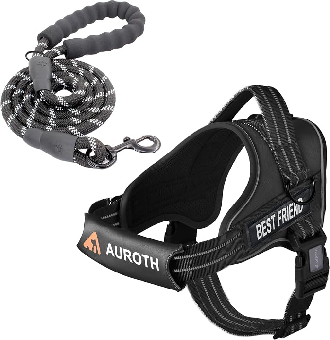 AUROTH Dog Harness and Leash Set, Soft Padded Service Dog Vest with 5.25FT Dog Leash, No Choke, Easy On Pet Vest, Adjustable Reflective No Pull Dog Harness for Large Dogs, Easy Walking and Training