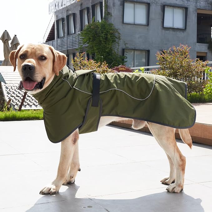 JOHNBOLIN Dog Winter Jacket & Raincoat - Waterproof Windproof Reflective Coat with Warm Insulation, All-Weather Hiking Travel Gear for Indoor/Outdoor Use(Military Green, XX-Large)
