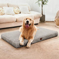 Medium Dog Bed Orthopedic Foam with Waterproof Lining | Egg crate foam for joint support. Soft plush surface. Non-slip bottom. Removable & machine washable cover. OEKO-TEX certified