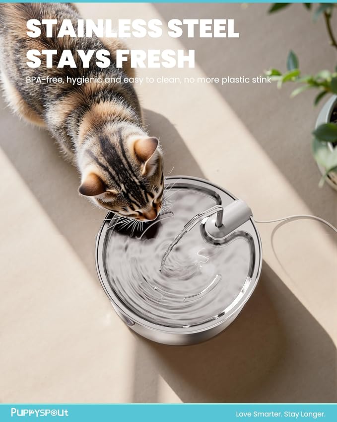 Puppyspout Stainless Steel Cat Water Fountain, Visible Window, 108 oz | Quiet operation, includes 3 filters, multi-pet drinking dispenser for indoor cats and dogs, multi-pet homes, Dishwasher Safe
