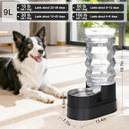 RIZZARI 9L Elevated Dog Water Dispenser: Large Stainless Steel Bowl | Comfortable Elevated Design/Cleaner Drinking Surface/Busy Pet Owner Friendly/Indoor Everyday Use/Easy Daily Maintenance