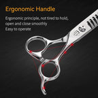Dog Grooming Scissors: 5 IN 1 Professional Grooming Scissors for Pet High Precision CNC-Cut Blades, Silver