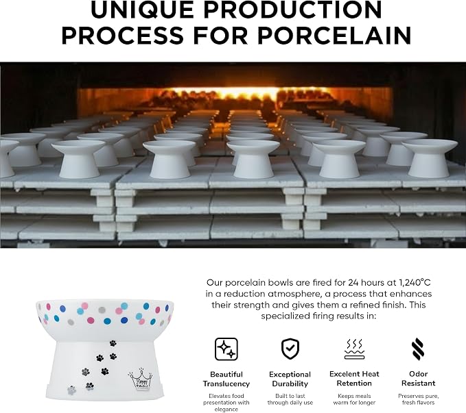 Necoichi Ceramic Raised Cat Food Bowl, 15° Tilted (Colorful Dots, Regular)