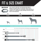 Wolfgang Heavy Duty Dog Leash, Pull-Tested to Over 800 lbs for Walking & Training, PackLeader Print, Large