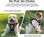 Petmolico No Pull Dog Harness Set,4 Leash Attchment Easy Control Handle Reflective Vest Dog Harness and Leash Set for Small Breed, with Poop Bag Holder,Small-Purple Dinosaur