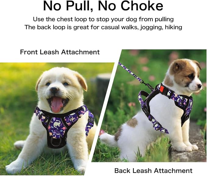 Petmolico No Pull Dog Harness Set,4 Leash Attchment Easy Control Handle Reflective Vest Dog Harness and Leash Set for Small Breed, with Poop Bag Holder,Small-Purple Dinosaur