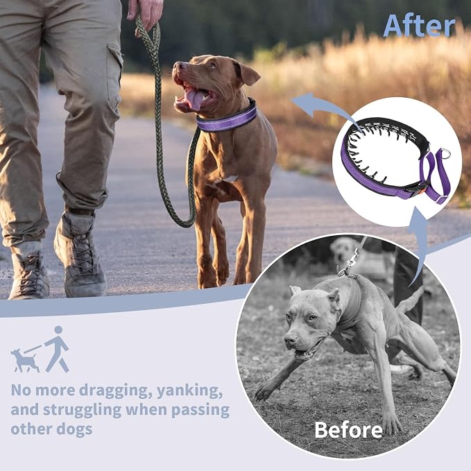 Mayerzon Martingale No Pull Collar for Medium Large Dogs | Purple, L | Patented Anti Pull Dog Collar with Buckle for Walking Training, Reflective Stitching, Neoprene Padding, Adjustable, Sturdy