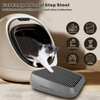 Cat Ramp for Litter Box, Anti-Tracking Litter Trapper, Dark Gray | Litter Box Step for Kittens & Senior Cats, 0.2-in Filter Holes, Non-Slip Base, Easy-Rinse ABS, Fits Most Litter Boxes