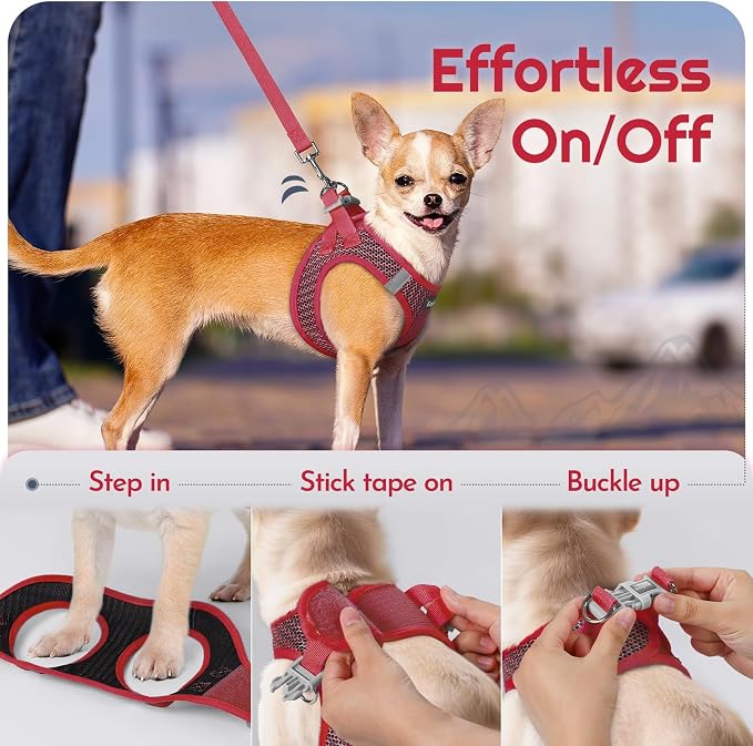 Eagloo Small Dog Harness and Leash Set, Step in Extra Small Puppy Pet Vest | Light, Soft, Breathable Air Mesh, Easy on and off with Hook & Loop, Reflective for Safe Walking, Red, XXS