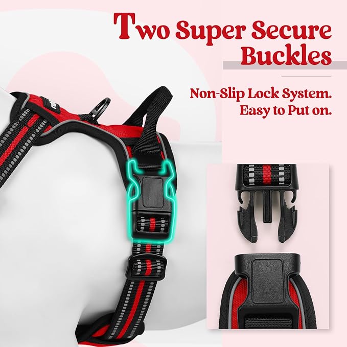 rabbitgoo Dog Harness, No Pull for Small Dogs with 2 Leash Clips, Pet Vest | No Choke with Handle, Adjustable Soft Padded, Reflective, Easy Control for Walking, Red, Small