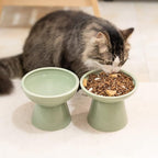 CEEFU 2-Pack Elevated Ceramic Cat Bowls Extra Wide for Food & Water | Anti Vomiting, Whisker Friendly, Shallow Food Dish and Deep Water Bowl, Lead&Cadmium-Free, Raised Height for Cats, Sage Green