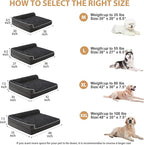 BFPETHOME Orthopedic Washable Dog Bed, Sleeping Couch for Large Senior Dogs | 36x27 Inch Deluxe Plush Rose Velvet Washable Cover, Egg Crate Foam Support, Waterproof Lining, Non-Slip Bottom, Senior Dogs