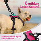 rabbitgoo Dog Harness No Pull with 2 Leash Clips, Adjustable Soft Padded, Reflective Oxford No Choke Pet Vest with Easy Control Handle for Puppy, Hot Pink, XS | No Choke with Handle, Adjustable Soft Padded, Reflective, Easy Control for Walking, Hot Pin...