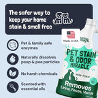 Sunny & Honey Pet Stain and Odor Remover for Carpets. 1 Gallon Mint | USA Made - Enzyme Cleaner for Dog Urine & Poop - Eliminates Set In Stains - Color Safe - For Rugs, Furniture & Car Seats