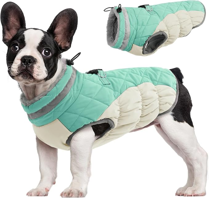 FUAMEY Dog Coat for Medium Dogs, Fleece Dog Winter Jacket with Harness | Puppy Cold Weather Coats Reflective Pet Puffer Vest with Zipper Water-Resistant Warm Dogs Snowsuit Windproof Mint Green M