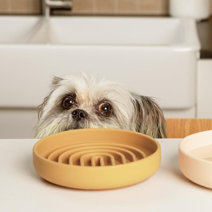 Slow Feeder Dog Bowls - Small Size Silicone Slow Eating Dog Bowl for Puppies & Dogs with Suction Cup -Dishwasher-Safe, Lick Mat Design, Reduces Gulping, for All Breeds, 6”x1.25”- Honey