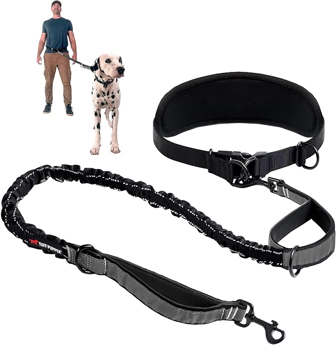 Tuff Pupper Hands Free Bungee Dog Leash, Waist Belt for Running & Walking | Heavy Duty for One Large Dog up to 125 lb, Shock Absorbing with Lumbar Support & Reflective Padded Handles for Jogging