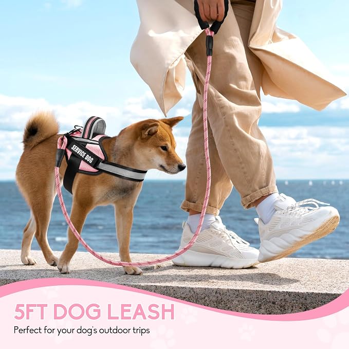 Service Dog Vest Harness and Leash Set, Animire in Training Dog Harness with 10 Dog Patches, Reflective Dog Leash with Soft Padded Handle for Small, Medium, Large, and Extra-Large Dogs (Pink,XS)