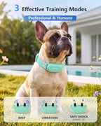 PATPET Shock Collar for Dogs(10-120lbs), 4000ft Rechargeable IPX7 Waterproof Training Collar with Remote for 2 Dogs- Electric Dog Collar for Small Medium Large Dogs 2 Packs | Rechargeable 3 Training Modes (Beep/Vibration/Shock) Dog Training Collar with...