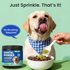 Dog & Cat Teeth Cleaning Powder: Plaque & Tartar Control with Brown Algae, Kelp, Probiotics (1.3B CFU), Sodium Hexametaphosphate & Enzymes – Freshens Breath – Chicken Flavor, 64 Scoops