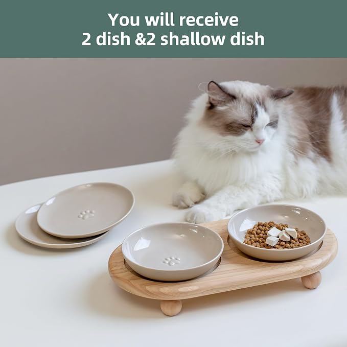 Havniva Elevated Cat Bowls, Cat Food and Water Bowl Set, Ceramic Cat Bowl | Raised Cat Food Bowls, Whisker Friendly, 5.6” Shallow Cat Dishes + 6” Wide Cat Plates, Non-Slip Wood Stand, Two Heights
