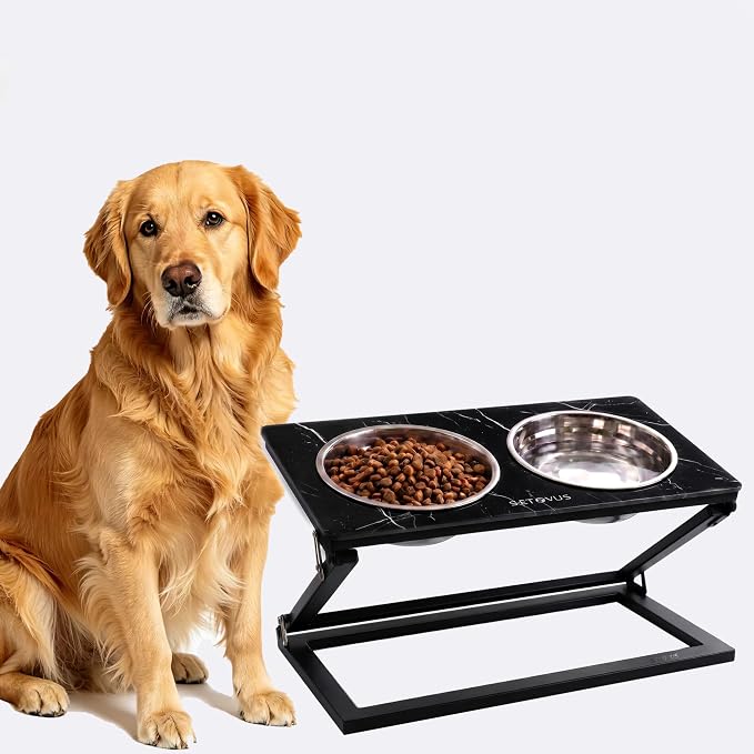 Elevated Dog Bowl, Adjustable Height and Tilt Angle Dog Bowl Stand | Precisely Adjust Height And Tilt Angle, Easy To Clean, Equipped With 2 Stainless Steel Food Bowls, Sturdy And Durable.