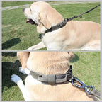 Tactical Dog Collar Adjustable Military Nylon Dog Collar with Control Handle and Heavy Duty Metal Buckle for Medium and Large Dogs (Green,S) | 1000D Heavy-Duty Nylon Fabric，Quick-Release Metal Buckle，Soft-Padded Webbing，Velcro Patch&D-Ring for Training...
