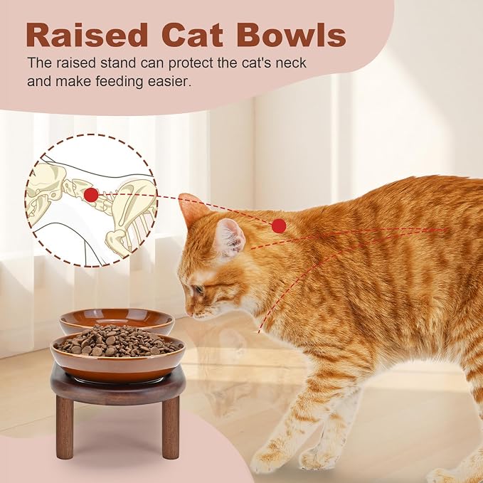 SPUNKYJUNKY Extra Wide Elevated Ceramic Cat Bowl with Acacia Wood Stand Whisker Friendly (Cat Paw Pattern, Brown)