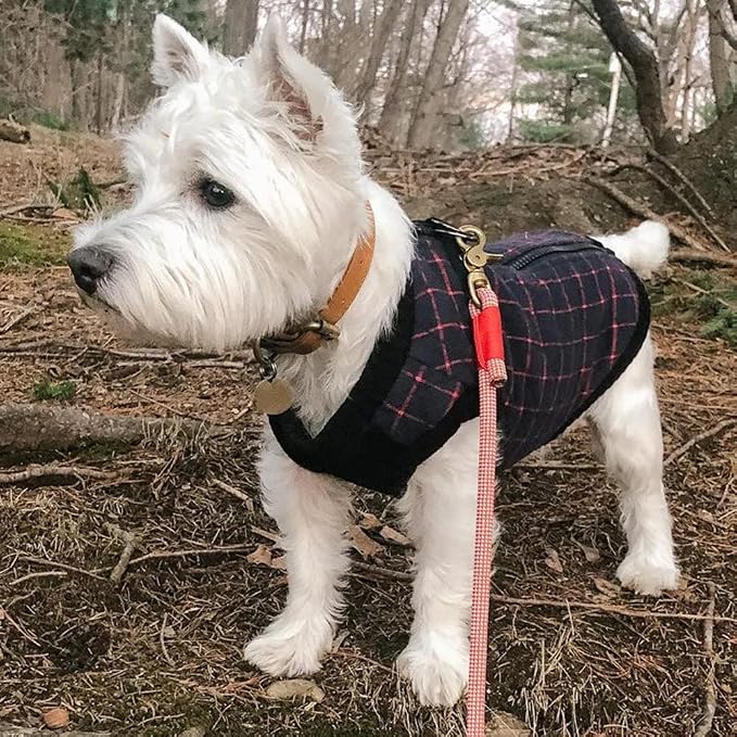 Gooby Fashion Vest Check Dog Jacket - Navy Check, X-Large - Warm Zip Up Dog Bomber Vest with Dual D Ring Leash Water Resistant for Small to Medium Dogs