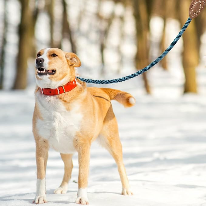 Mile High Life Dog Leash with Genuine Leather Connection, 6 FT/5 FT/4 FT | Rope Leash, Heavy Duty 360° Swivel Metal Clasp, for Small Medium & Large Dogs (Green, 48 Inch)