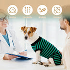 2 Packs Breathable Cotton Dog Recovery Suit for After Neuter Spay Abdominal Wounds Protector, Professional Anti-Licking Onesies for Male Female Pets Surgery Bandages, L Striped Yellow Green