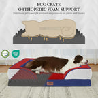 Comfort Expression Orthopedic Dog Bed for Extra Large Dogs with Bolster | Waterproof Dog Couch Bed with Washable Cover & Non-Slip Bottom, Supportive Egg Crate Foam XL Pet Bed, 42x30 Inch
