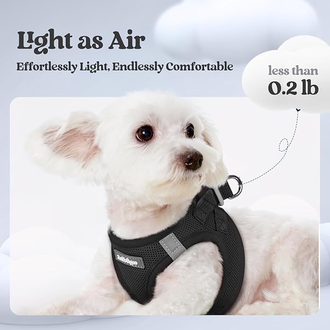rabbitgoo Dog Harness Small Sized and Leash Set, Step-in Puppy Pet Vest | Light, Soft, Breathable Air Mesh, Easy on and Remove with Hook & Loop, Secure Reflective for Walking, Black XS