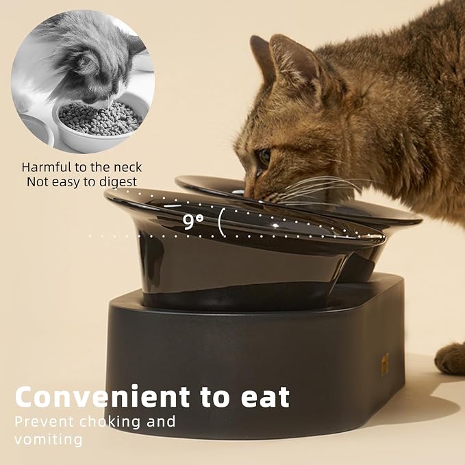 Raised Cat Bowls Set - Ceramic Dishes with Non-Slip Stand, 9° Tilted, Lead & Cadmium Free, for Small Dogs and Cats, 6.5" Wide - 2 x 320ML (10.8 oz), Black
